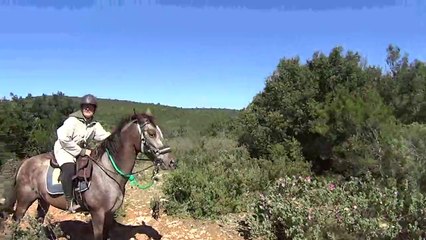 Pujet avec chiens et cheval 03