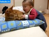 Kedinin kuyruğunu ısıran bebek