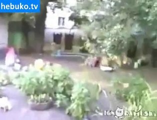 Köpeğe ölü taklidi yapan kedi