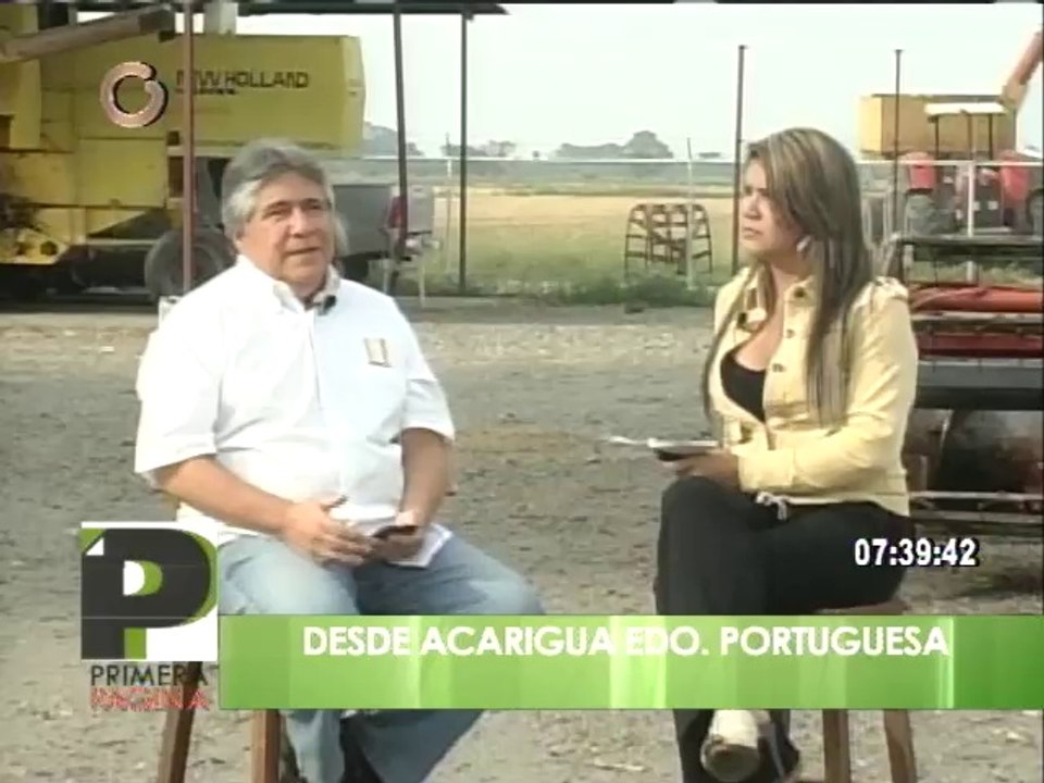 Producción de arroz en los últimos años aumentó, según presidente de Fundarroz