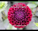 Son Haykırış Yürüyelim Yiğitler