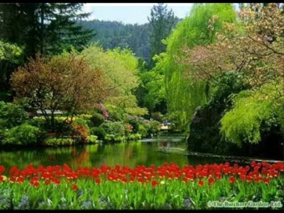 Doğayı sevenler için ( OKYANUS )