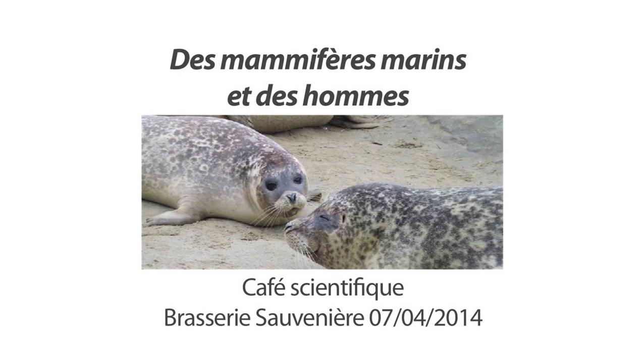 Des mammifères marins et des hommes