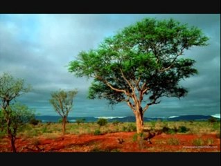 occo mahabad-helbest-bi xêra Xwedê...