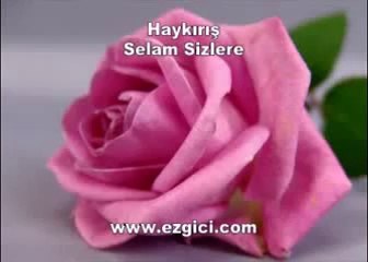 Haykırış 2   Selam Sizlere