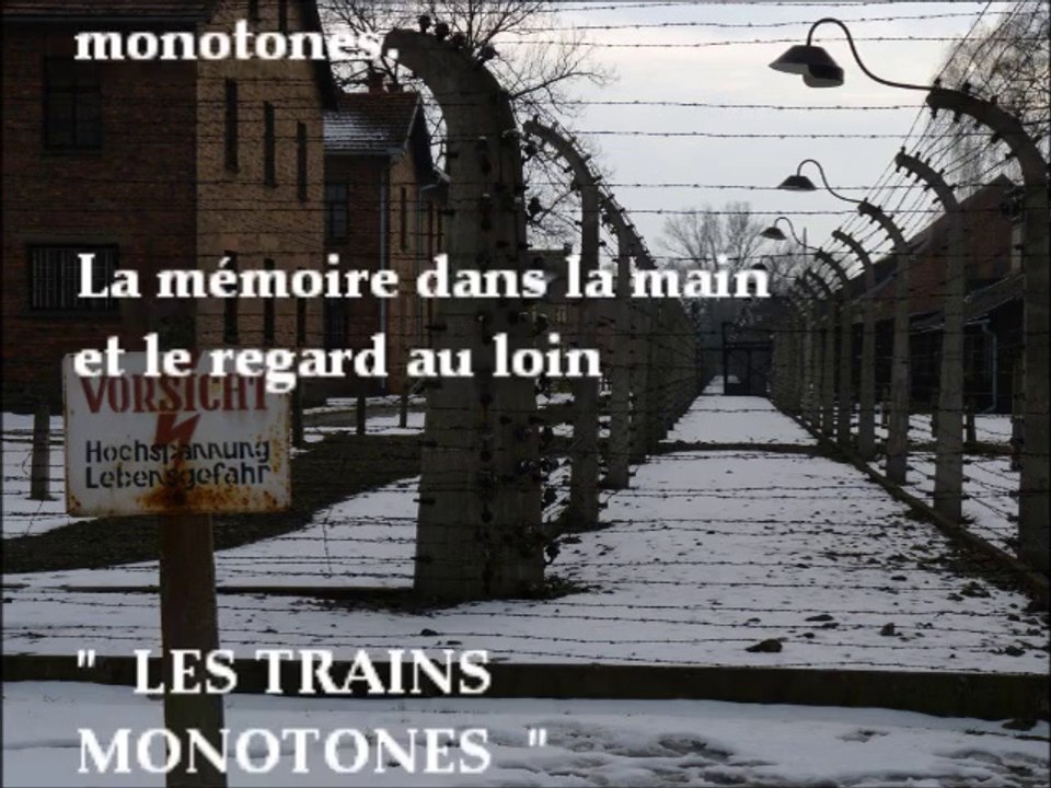 les trains monotones