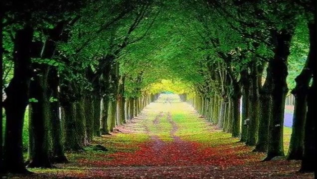 Sedat Uçan - Sana Geldim