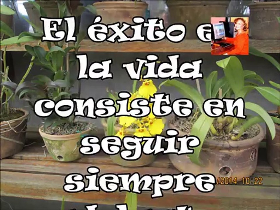 Fraases Para Pensar