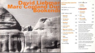 Dave Liebman Marc Copland Maiden Voyage