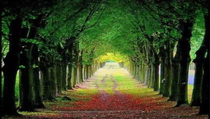 GÜZEL BİR İLAHİ - MUHAMMEDE   S.a.v