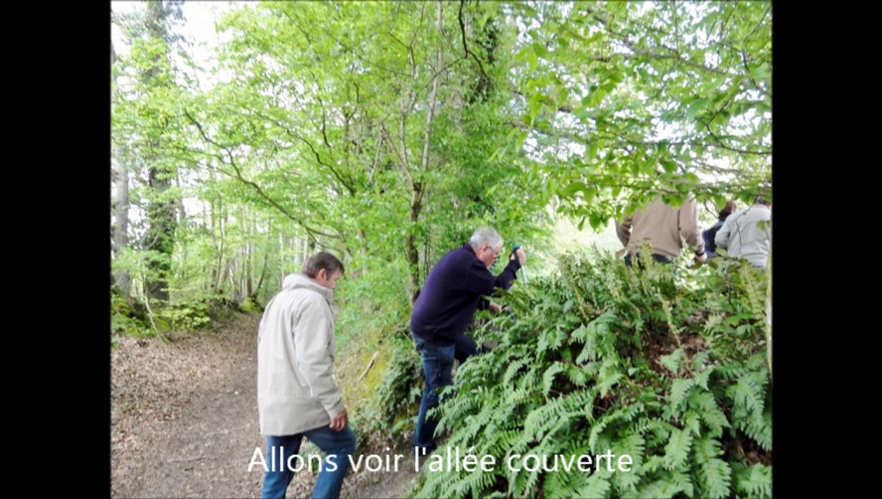 Autour de La Viconté sur Rance