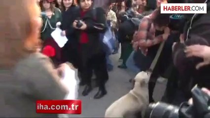 Kadın Eylemcilere 'Köpek' Engeli
