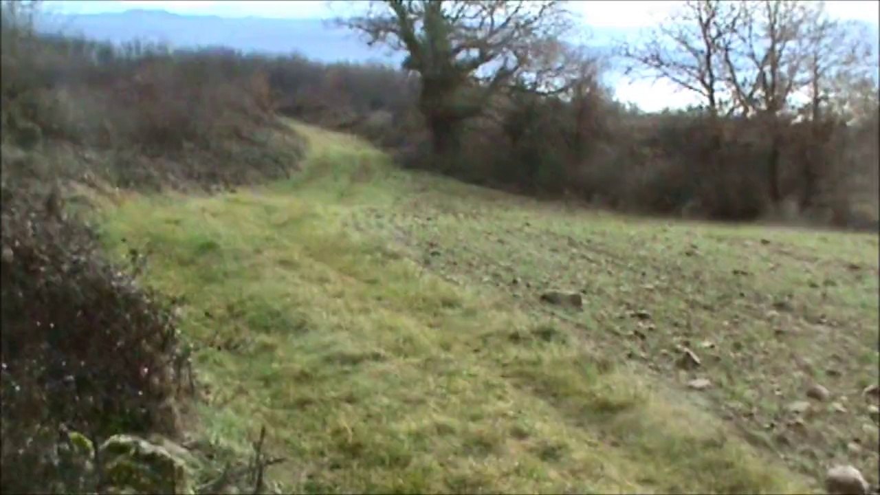 chasse lièvre ariègeois 38