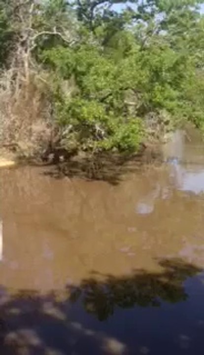 Milam Raemsch: Video