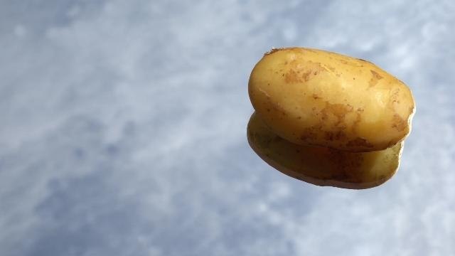 Police Arrest Veggie Wielding Robber Dubbed 'Potato Perp'