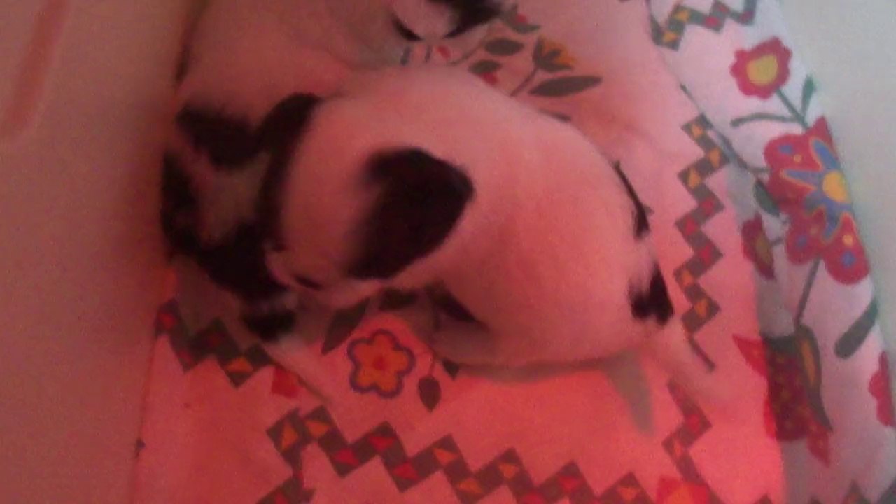 Jade et Jeannette ont faim!!!