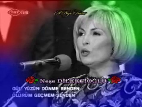 Neşe DİLEKÇİOĞLU-Gül Yüzün Dönme Benden