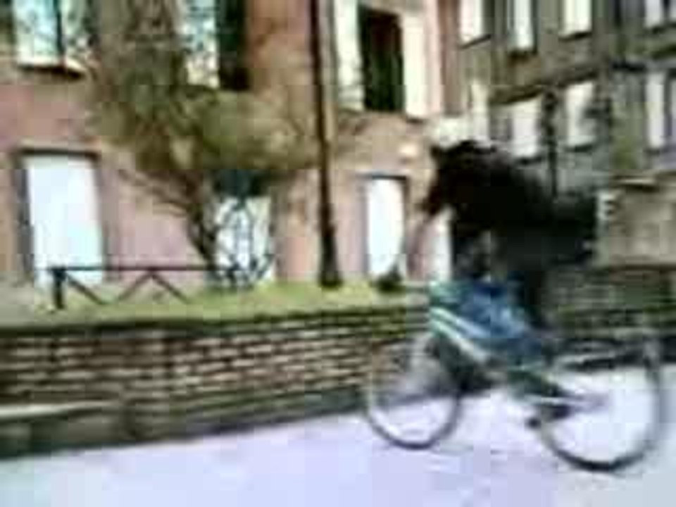 montage 1