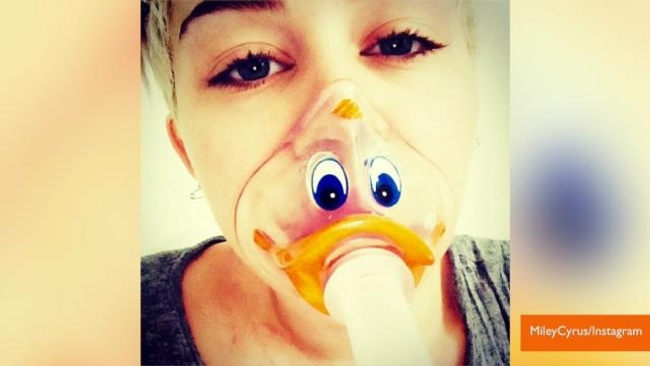 Inside Look at Miley Cyrus' Bizarre Backyard