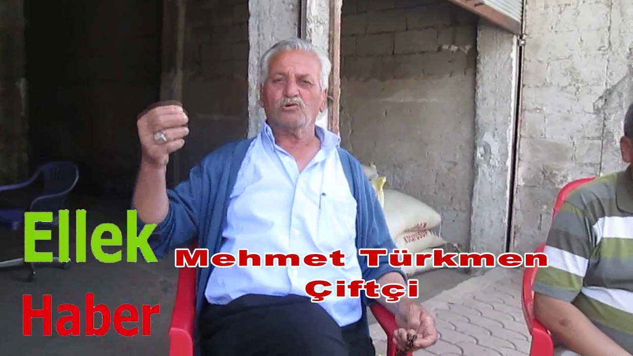 Mehmet Türkmen-Çiftçi_Ellek
