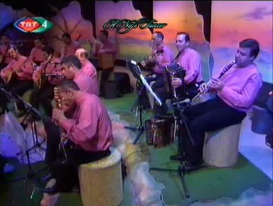 Neşe DİLEKÇİOĞLU-Bir Yiğit Gurbete Gitse (2)