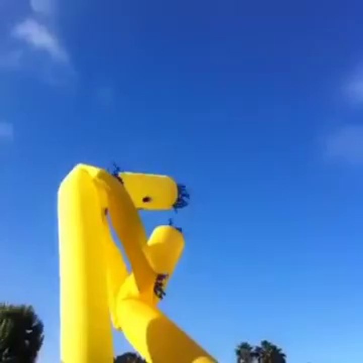The Struggle -funny2funnys