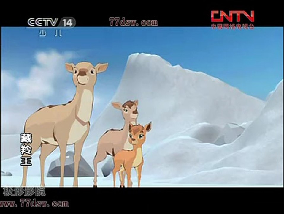 The King of Tibetan Antelope EP.2