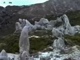 lotr fellowship of the ring