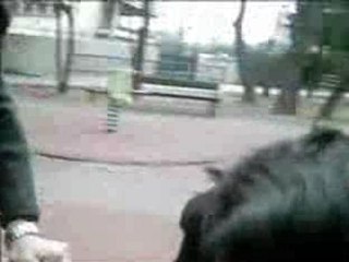 court métrage des coupins