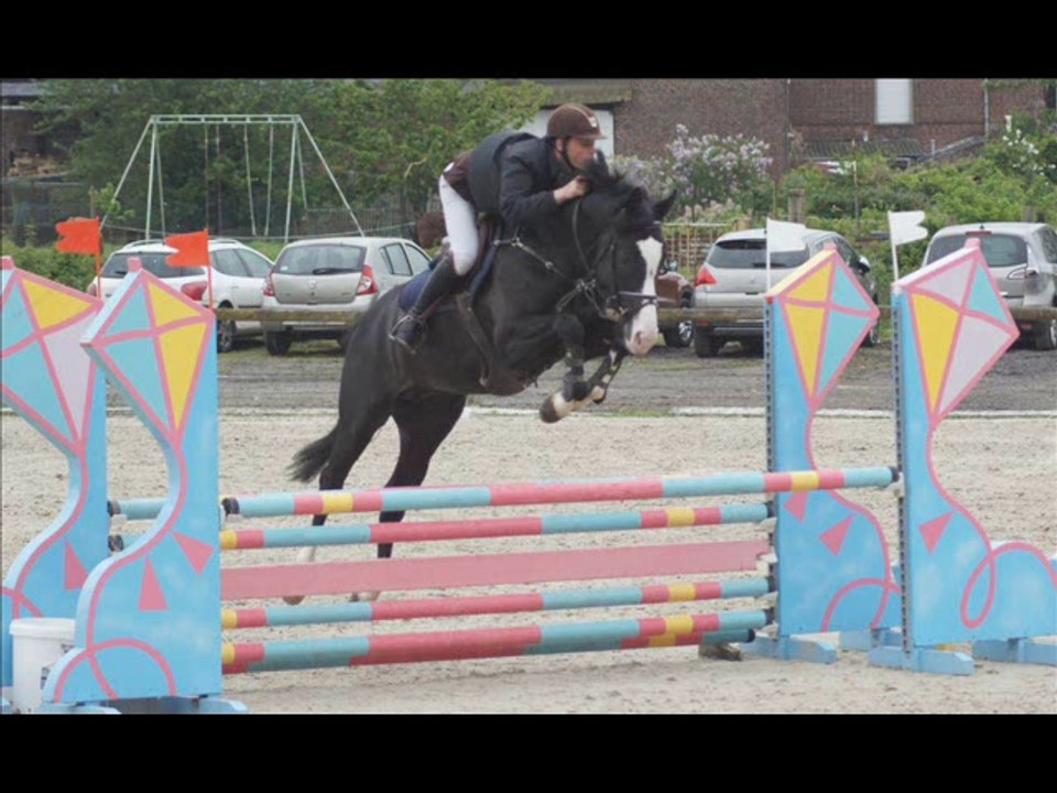 AMBRE D'ELINCOURT, SF NOIR 4 ANS, SHF CSO PHALEMPIN 2014