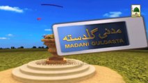Madani Guldasta# 609 - Akhir Mout Hai - Haji Azhar Attari (1)