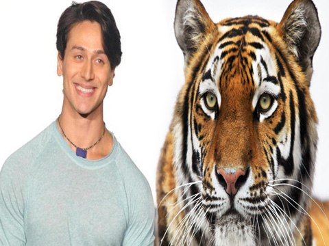 Tiger Shroff Jokes Trend On Twitter