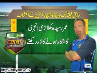 Former fielding coach Julien Fountain's disclosures