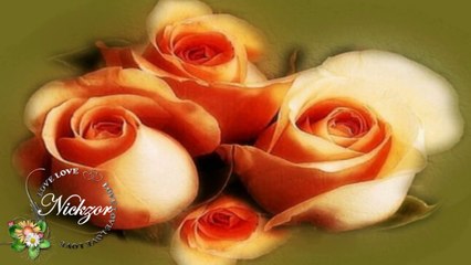 Koro - Çaktım Çaktım