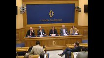 Roma - Conferenza stampa di Daniele Farina (29.04.14)