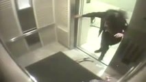 كلب يعلق في باب مصعد والمصعد يتحرك..شاهد ماذا حدث!!