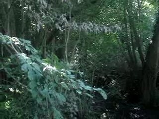 YAMAHA DT50R Enduro bourbier 2