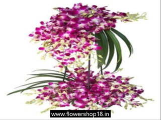 florist in delhi flowers to delhi, send flowers to delhi