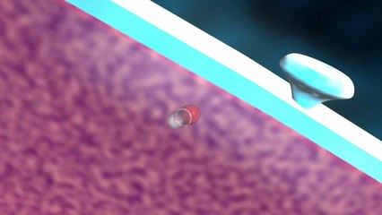 La résistance aux antibiotiques