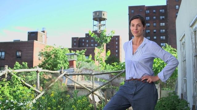 Miranda's Garden - Spring Flowers and Bulbs