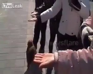 متسول محترف أنظر كيف يطلب المال شيئ عجيب وغريب