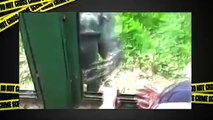 فيديو قرد فى حديقه الحيوانات يتوسل للزوار فتح باب القفص