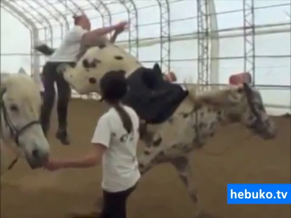 Ata böyle binmeyi denemeyin