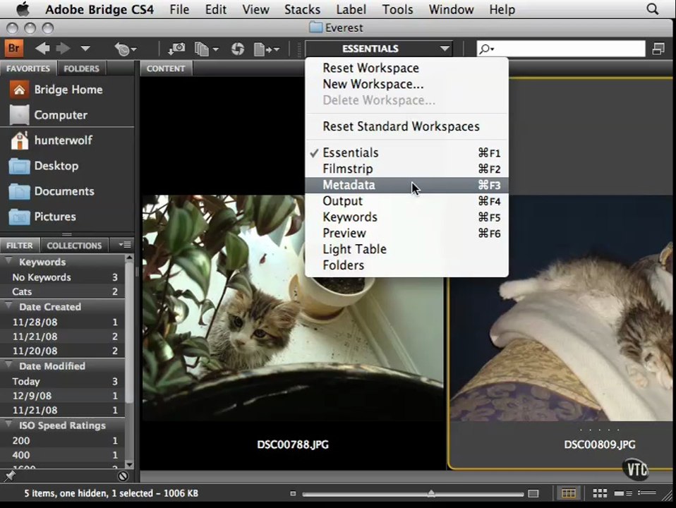 Adobe Bridge Part 2- Metadata
