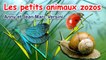 Anny Versini, Jean-Marc Versini - Les petits animaux zozos (Clip officiel)