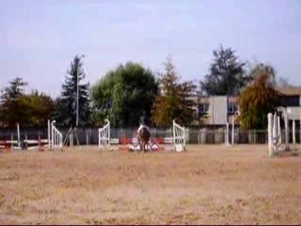 KOKO et hector