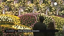 Memorial for Sewol ferry victims