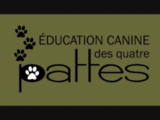 Dressage chien : Solutions mordillage du chiot.