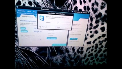 TeamViewer indir
