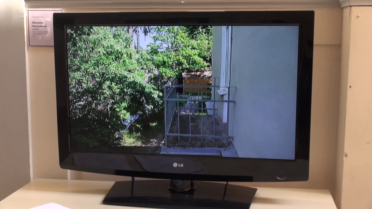 Prix Sciences Po pour l'art contemporain 2014